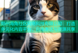 郑州海角社区网络科技有限公司：打造多元化内容平台，自由表达与资源共享