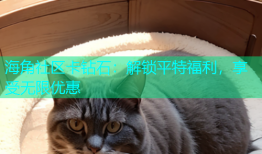海角社区卡钻石：解锁平特福利，享受无限优惠