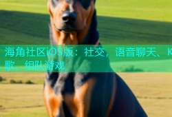 海角社区iOS版：社交，语音聊天、K歌、组队游戏