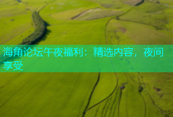 海角论坛午夜福利：精选内容，夜间享受