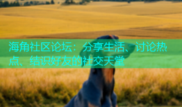 海角社区论坛：分享生活、讨论热点、结识好友的社交天堂
