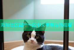 海角社区国产一区中文字幕在线观看