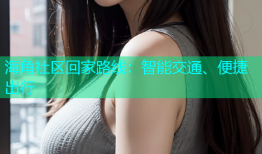 海角社区回家路线：智能交通、便捷出行