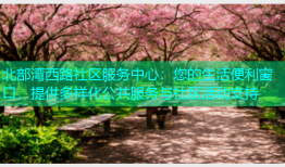 北部湾西路社区服务中心：您的生活便利窗口，提供多样化公共服务与社区活动支持