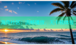 海角社区：流畅播放，无卡顿体验