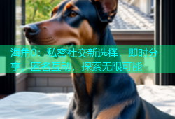 海角0：私密社交新选择，即时分享，匿名互动，探索无限可能