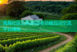 海角社区公共2022全功能互动交流平台揭秘
