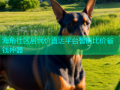 海角社区居民价直达平台智能比价省钱神器