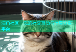 海角社区：您的社交互动与信息分享平台