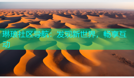 琳琅社区导航：发现新世界，畅享互动