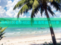 海角社区最新视频：高清剪辑与分享