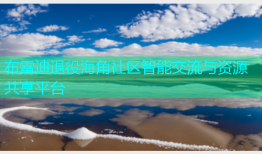 布雷迪退役海角社区智能交流与资源共享平台