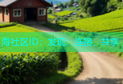 海社区ID：发现、连接、共享