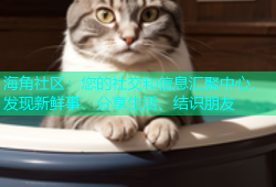 海角社区：您的社交和信息汇聚中心，发现新鲜事、分享生活、结识朋友