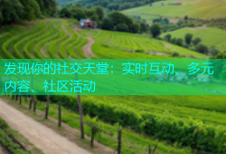 发现你的社交天堂：实时互动、多元内容、社区活动