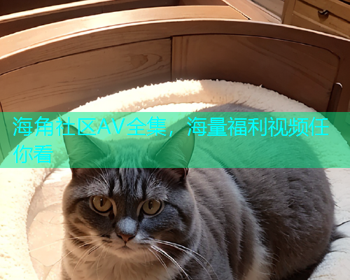 海角社区AV全集，海量福利视频任你看