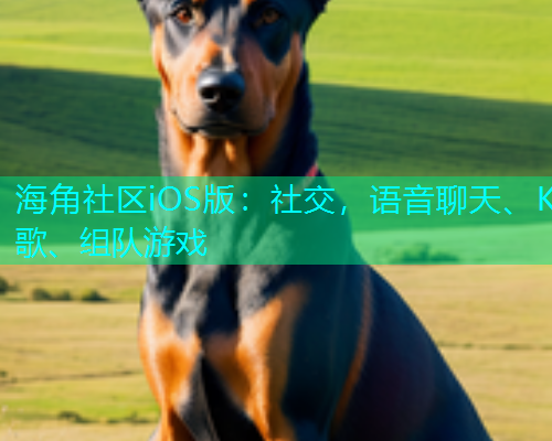 海角社区iOS版：社交，语音聊天、K歌、组队游戏