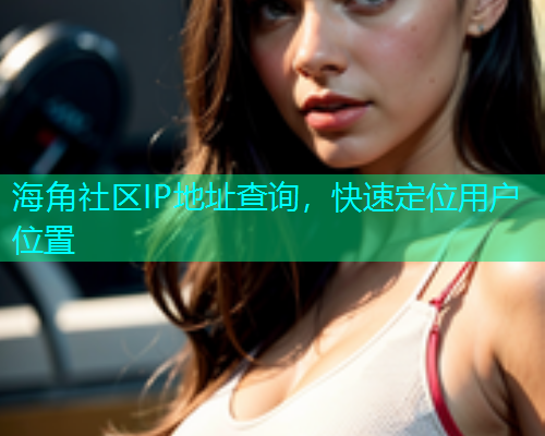 海角社区IP地址查询，快速定位用户位置
