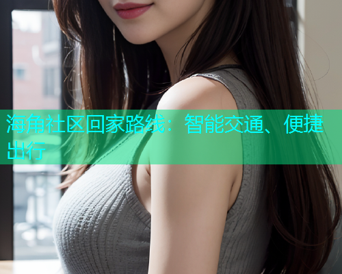 海角社区回家路线：智能交通、便捷出行