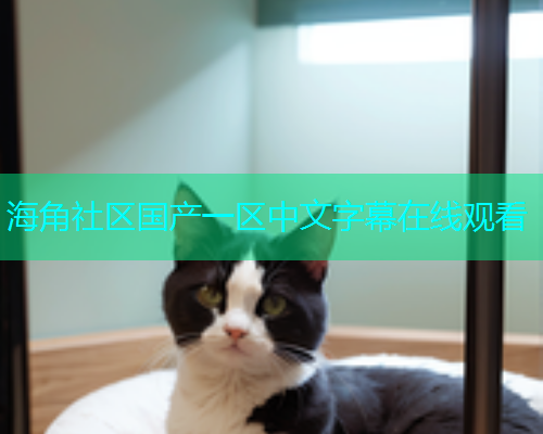 海角社区国产一区中文字幕在线观看