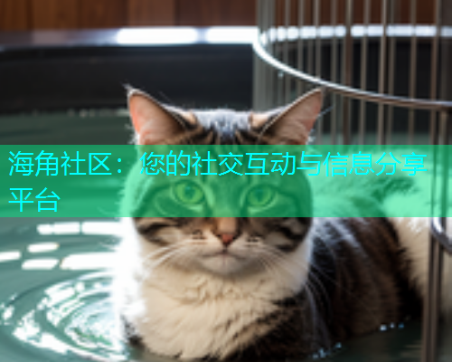 海角社区：您的社交互动与信息分享平台