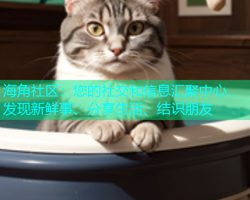 海角社区：您的社交和信息汇聚中心，发现新鲜事、分享生活、结识朋友