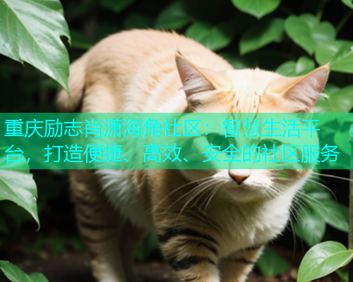 重庆励志肖潇海角社区：智慧生活平台，打造便捷、高效、安全的社区服务