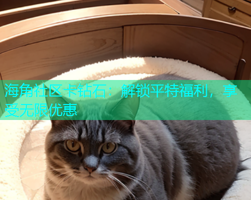 海角社区卡钻石：解锁平特福利，享受无限优惠