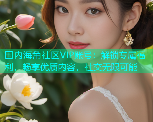 国内海角社区VIP账号：解锁专属福利，畅享优质内容，社交无限可能