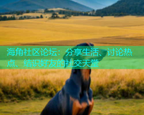 海角社区论坛：分享生活、讨论热点、结识好友的社交天堂