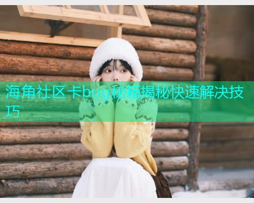 海角社区卡bug秘籍揭秘快速解决技巧