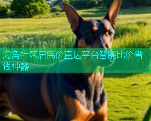 海角社区居民价直达平台智能比价省钱神器